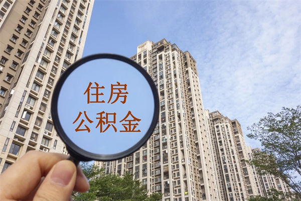 灌南住房公积金查询个人账户（住房公积金个人查询入口）